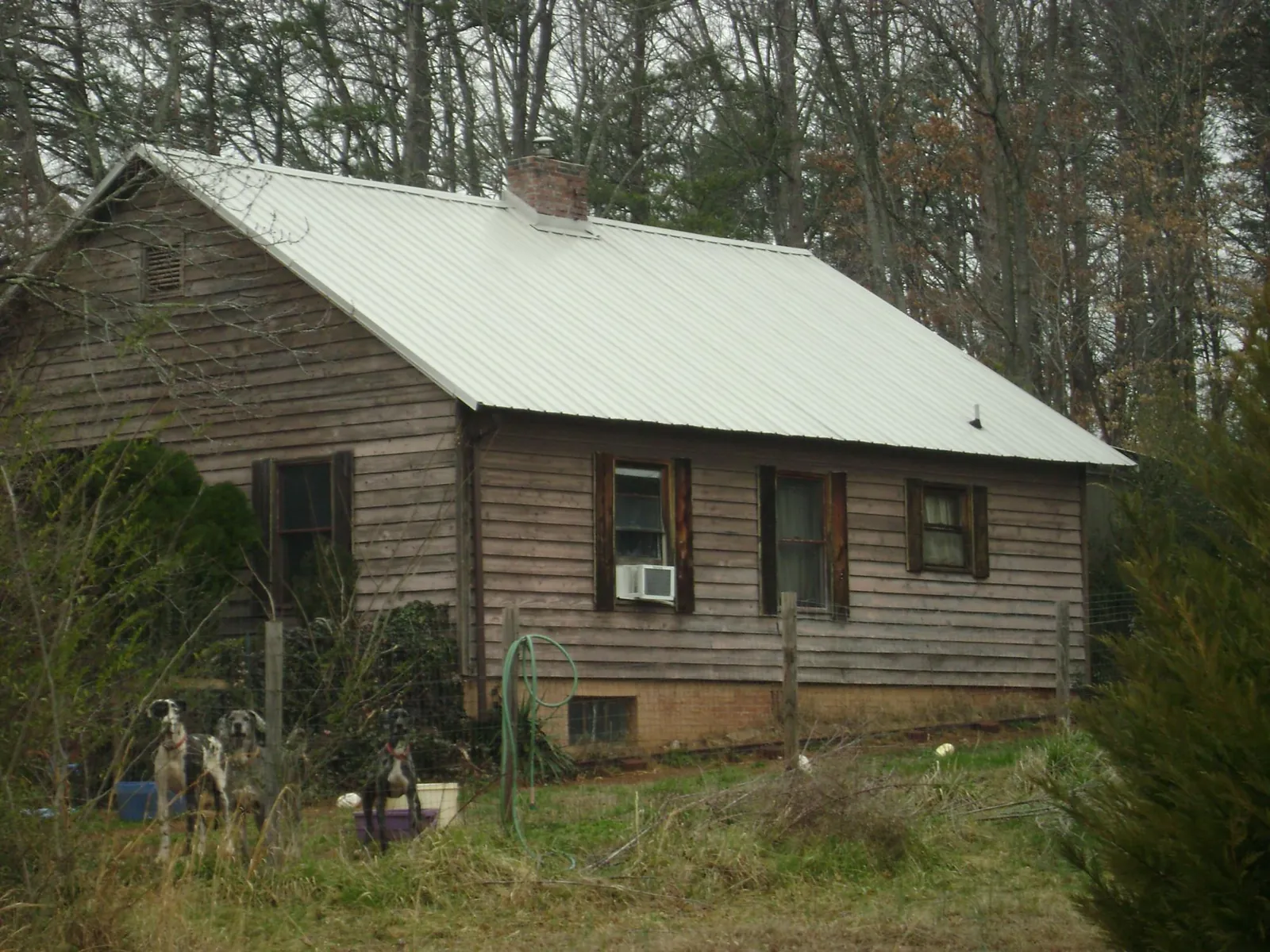 White metal roof on an old wood sided farmhouse, from a Asphalt Shingle Roof Repair job in Fairfax